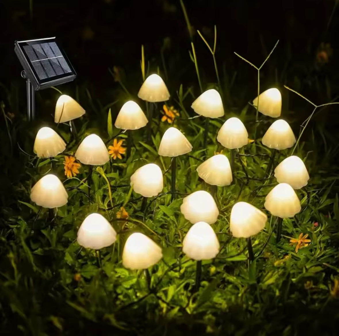Magische Solar Pilz Lichterkette