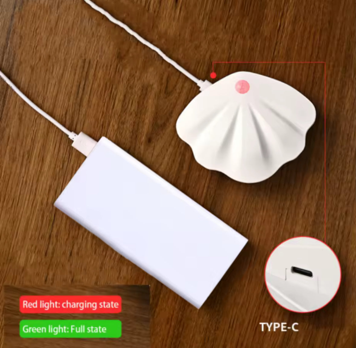 LED Muschel-Nachtlicht mit Bewegungsmelder | Kabellos mit USB-C Akku & Magnet-Montage, 3 Lichtfarben | Deko-Sensorlicht für Flur, Treppe & Schlafzimmer